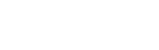 Logo Franceschini